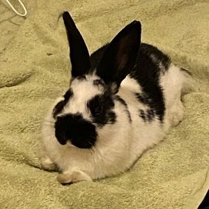 Meet your Posher, Carla